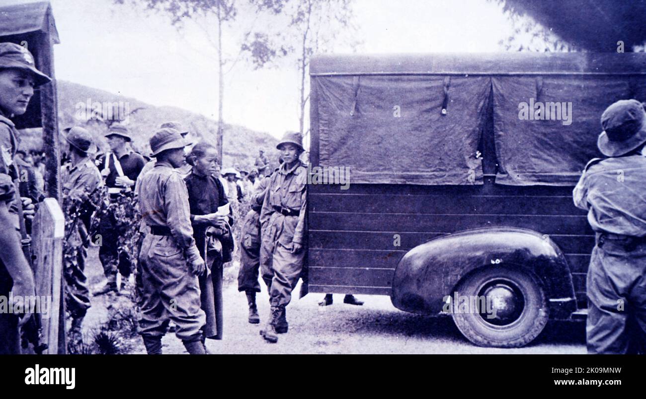Coldsteam Guards che vagliano una donna malese con l'informer nascosto in un camion dell'esercito. I malesi sono un gruppo etnico Austronesiano originario del Sumatra orientale, della Penisola Malese e del Borneo costiero. Foto Stock