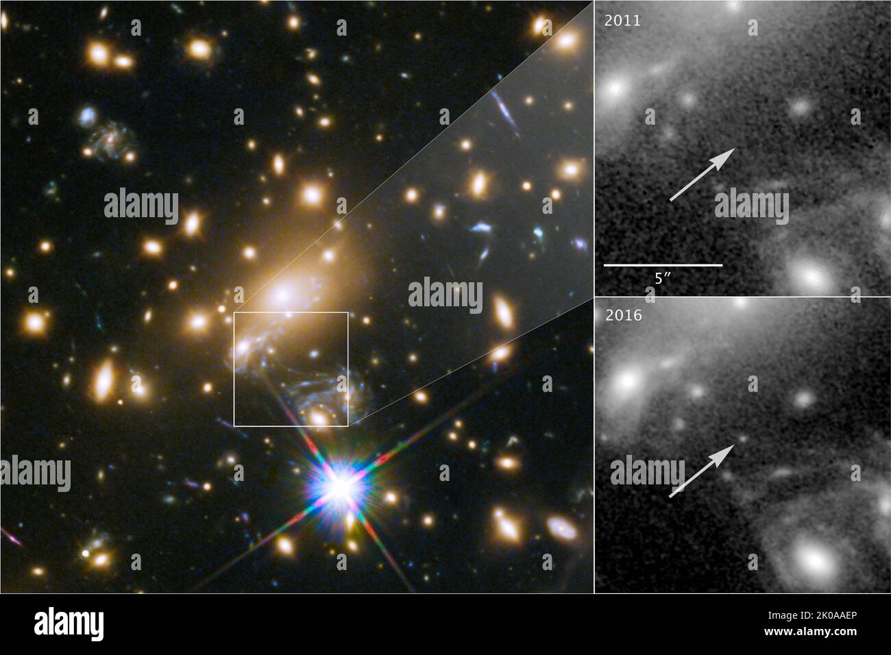Icarus, il cui nome ufficiale è MACS J1149+2223 Lensed Star 1, è la stella individuale più lontana mai vista. E 'visibile solo perché è stato ingrandito dalla gravità di un massiccio cluster galassico, situato a circa 5 miliardi di anni luce dalla Terra.Credits: NASA, ESA, e P. Kelly (Università del Minnesota) Foto Stock