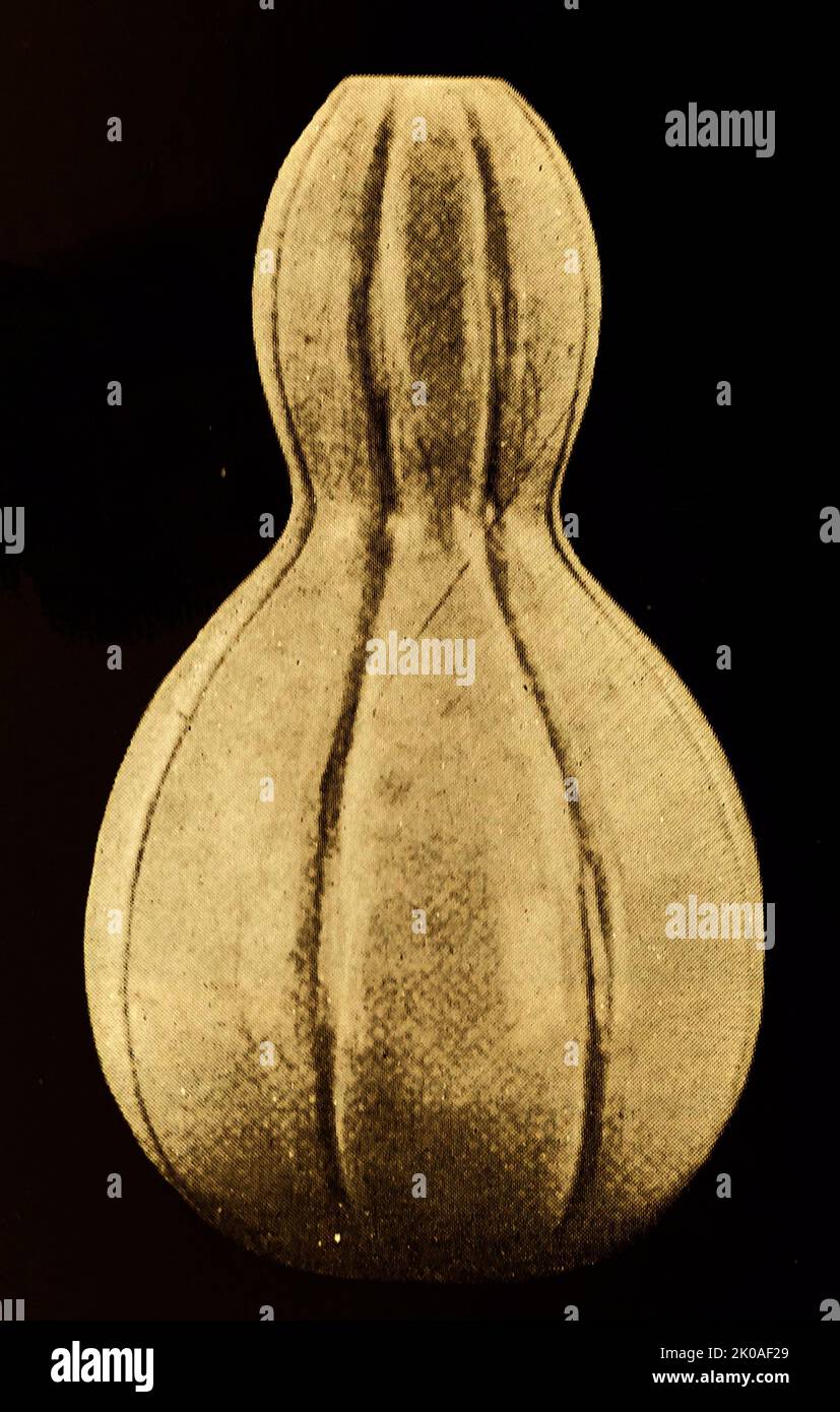 Bottiglia di vino, Koryo.. Celadon glassa; non decorato, Koryo (Goreyo) (Goreyo) Dinastia, inizio 12th ° secolo Foto Stock
