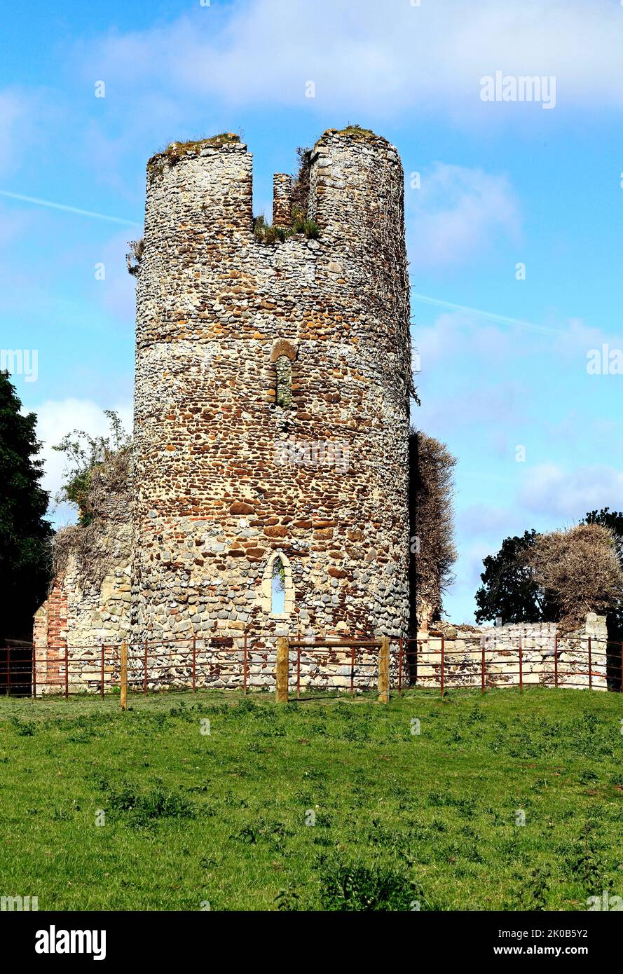 Appleton, Norfolk, torre della Chiesa Normanna rotonda rovinata, rovine medievali Foto Stock