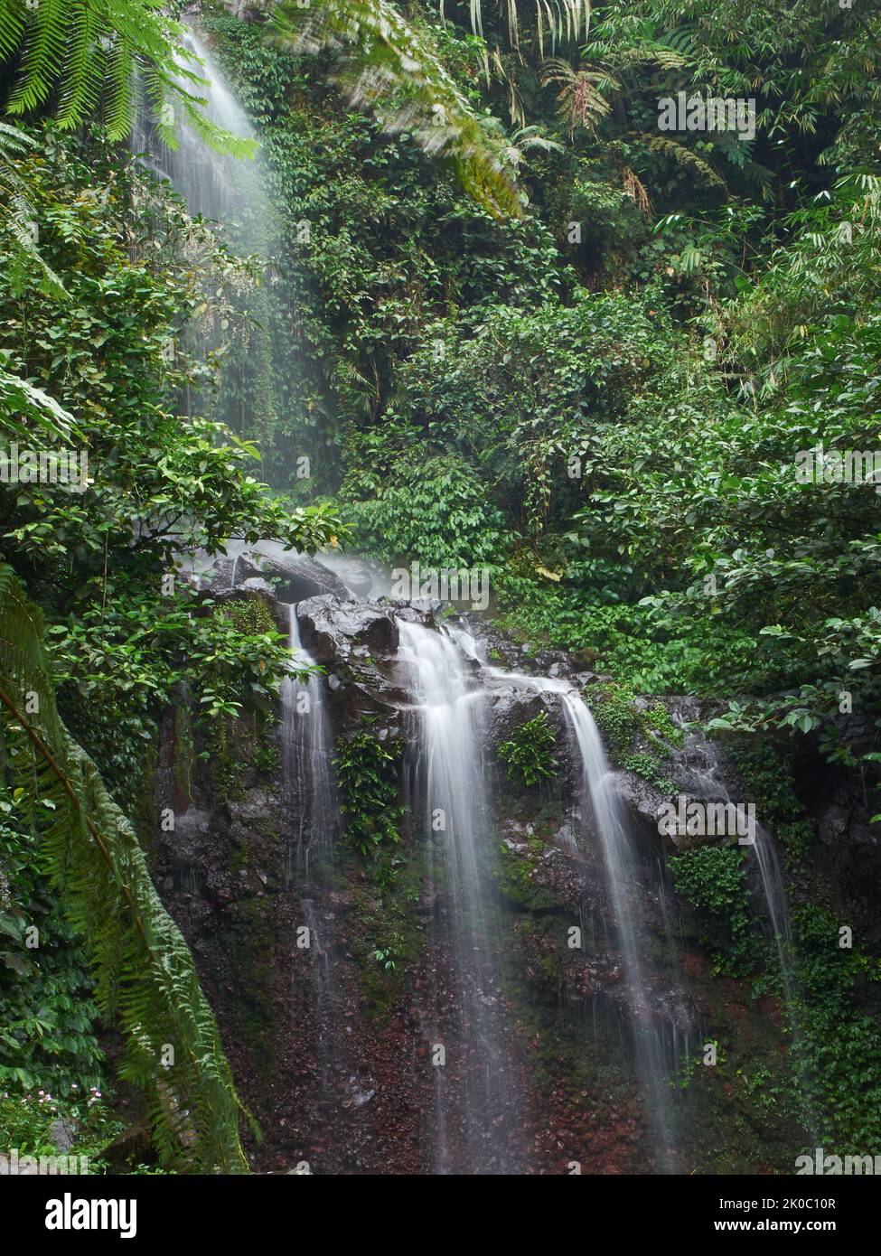 Una piccola cascata che scorre tra le rocce in un fiume di foresta tropicale a Giava Occidentale, Indonesia Foto Stock