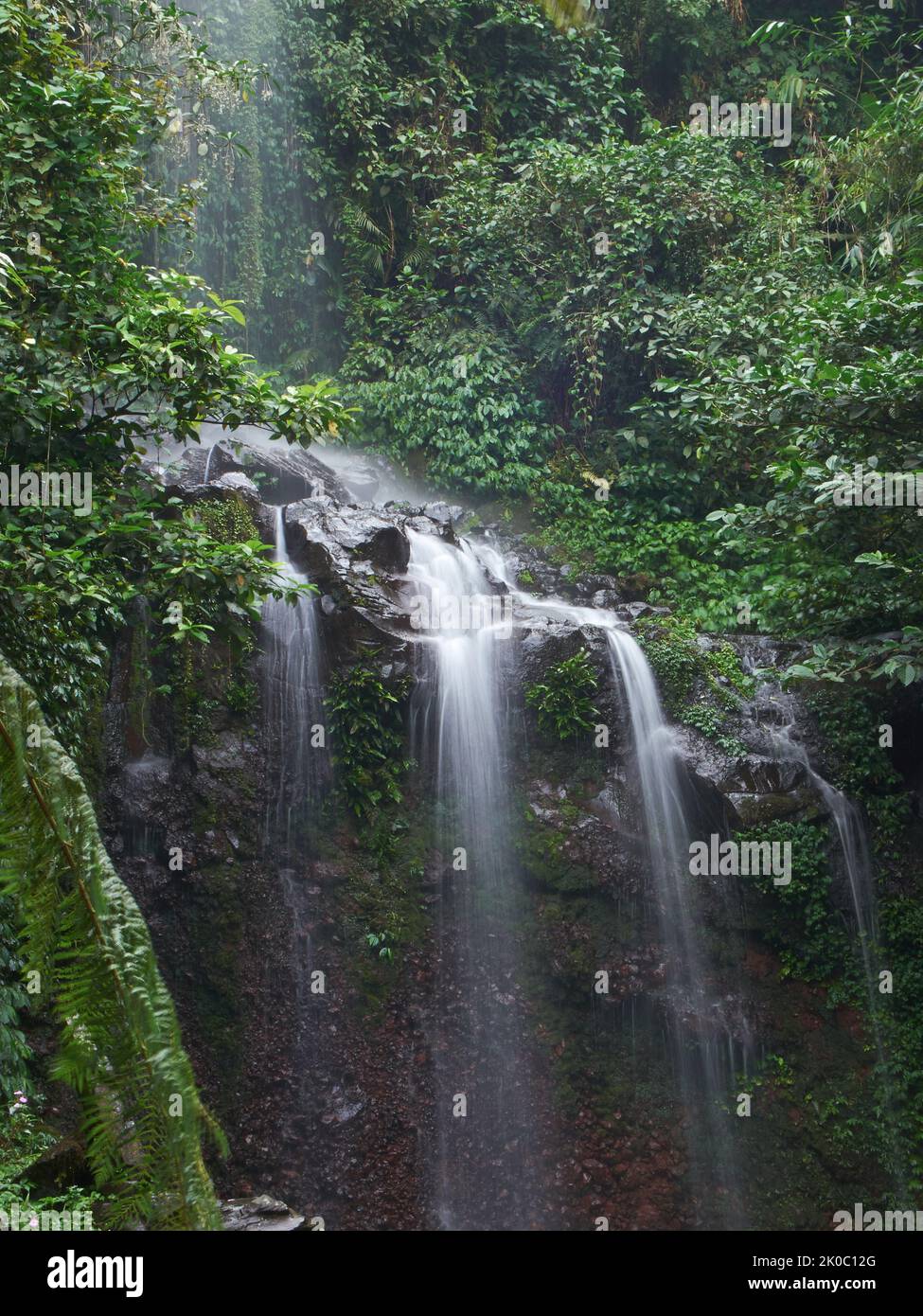 Una piccola cascata che scorre tra le rocce e foglie in un fiume di foresta tropicale a Giava occidentale, Indonesia Foto Stock