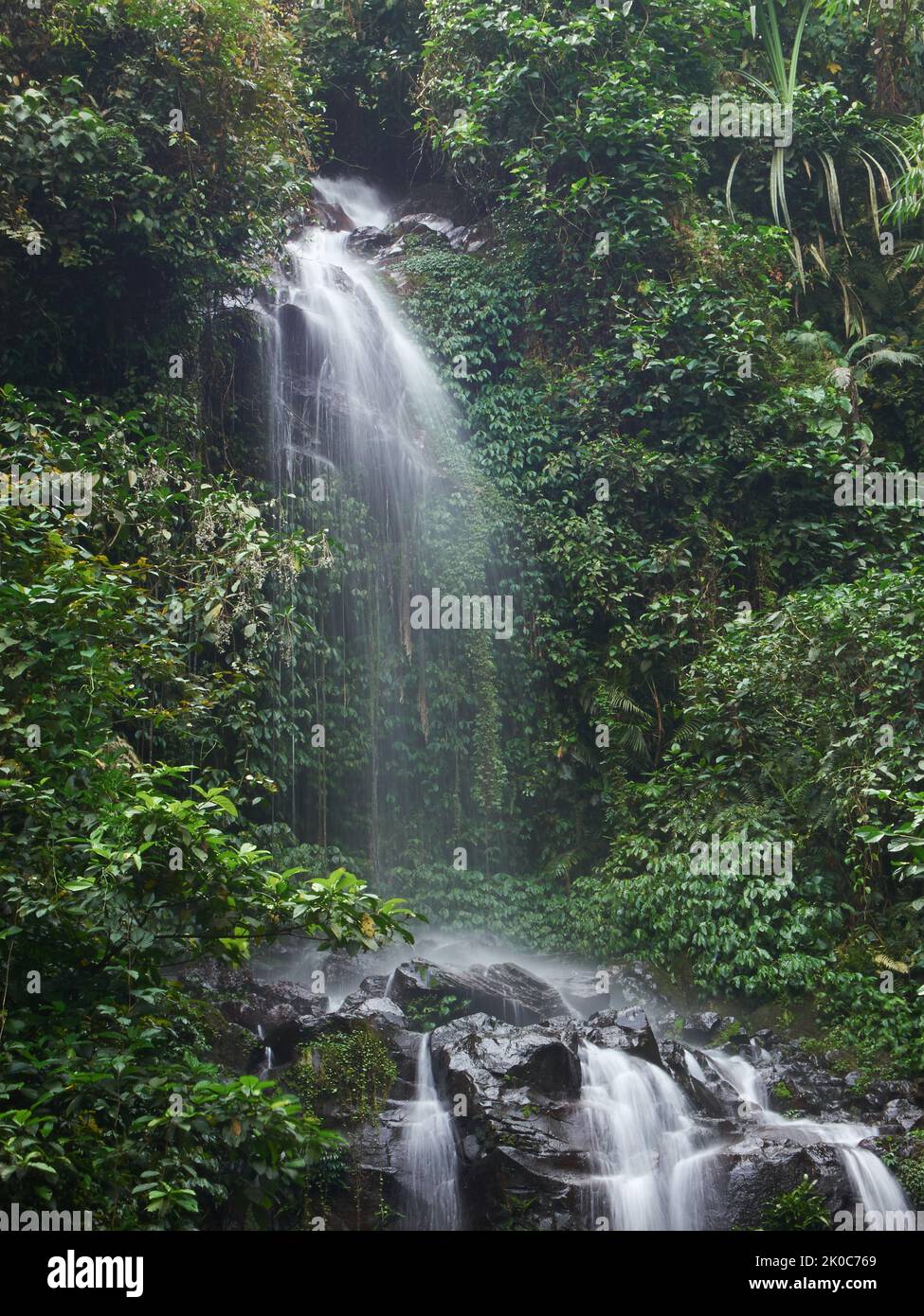 Una piccola cascata che scorre tra le rocce in una foresta tropicale Giava Occidentale, Indonesia Foto Stock