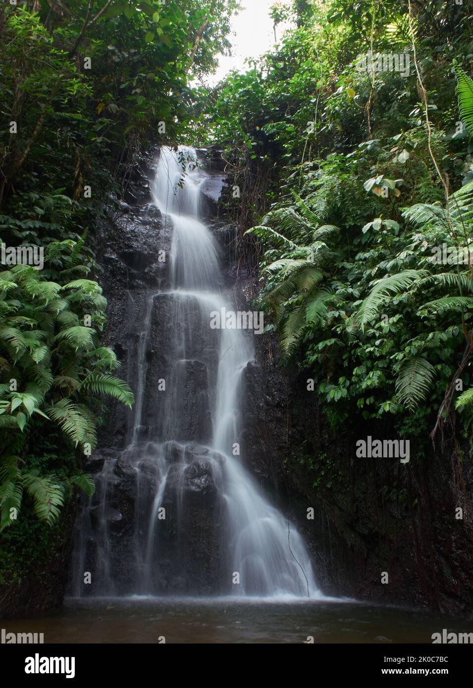 Una piccola cascata tra gli alberi e le foglie nella zona della foresta tropicale di ​​West Giava, Indonesia Foto Stock