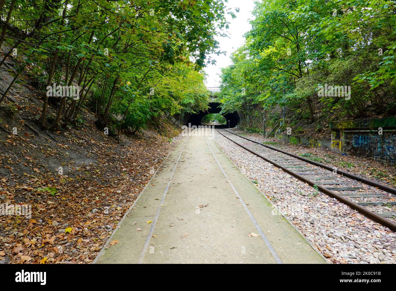 Gli alberi costeggiano questa sezione, nel 17th° Arrondissement, della Petite Ceinture, la vecchia linea ferroviaria che circonda Parigi, ora che serve principalmente come spazio verde. Foto Stock