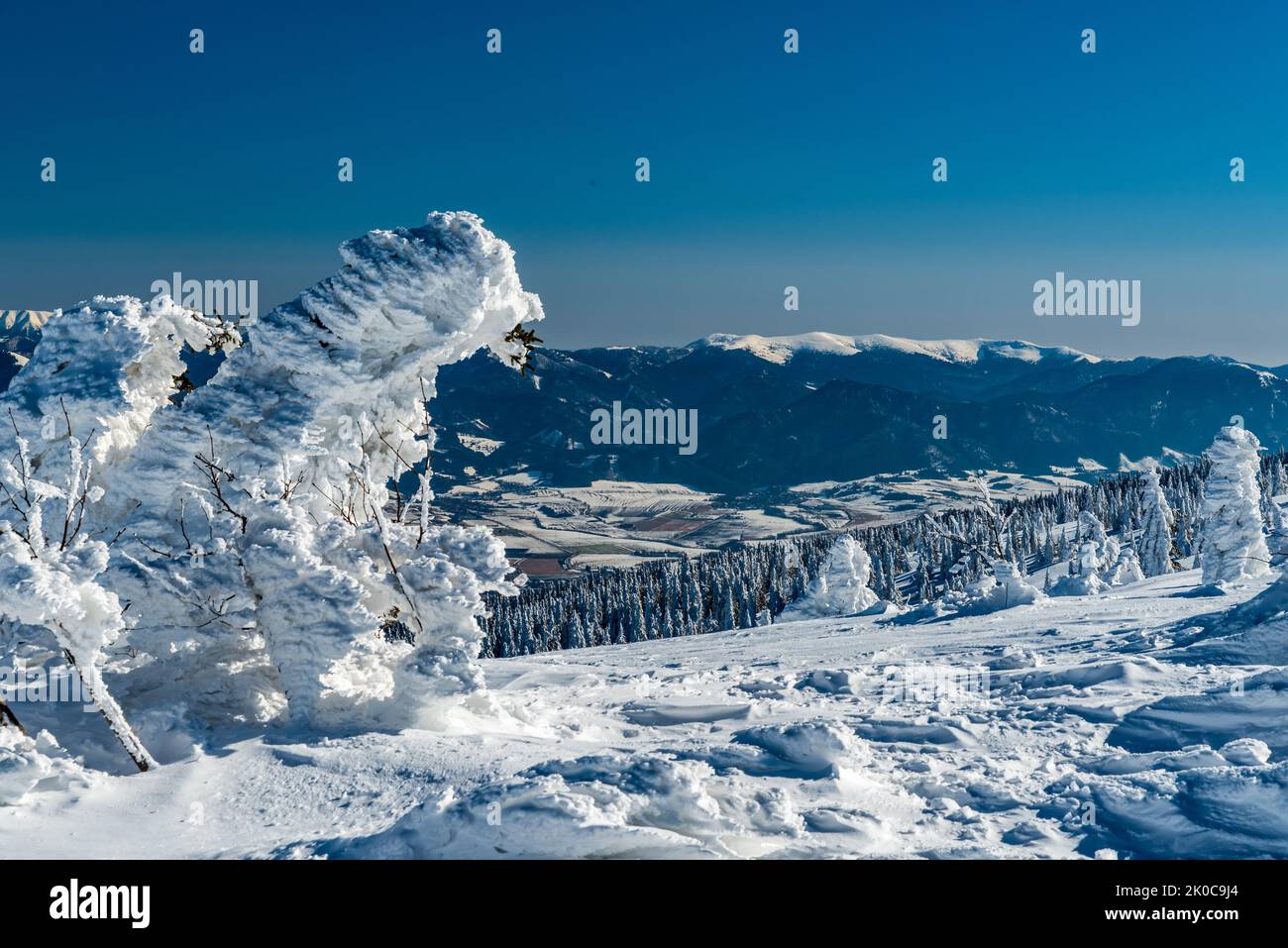 Vista sulla parte più alta dei monti Velka Fatra dalla cima della collina Velka luka in inverno Mala Fatra in Slovacchia Foto Stock