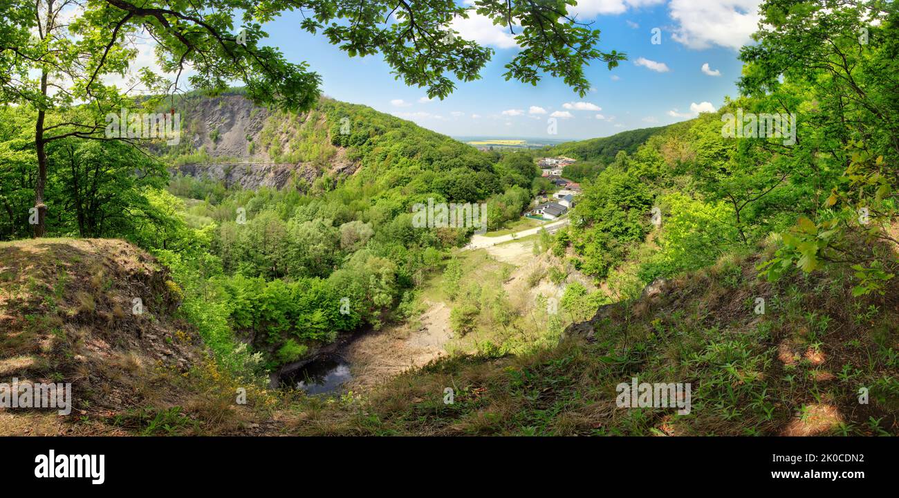 Panorama del paesaggio forestale in carpatians, Slovacchia Foto Stock
