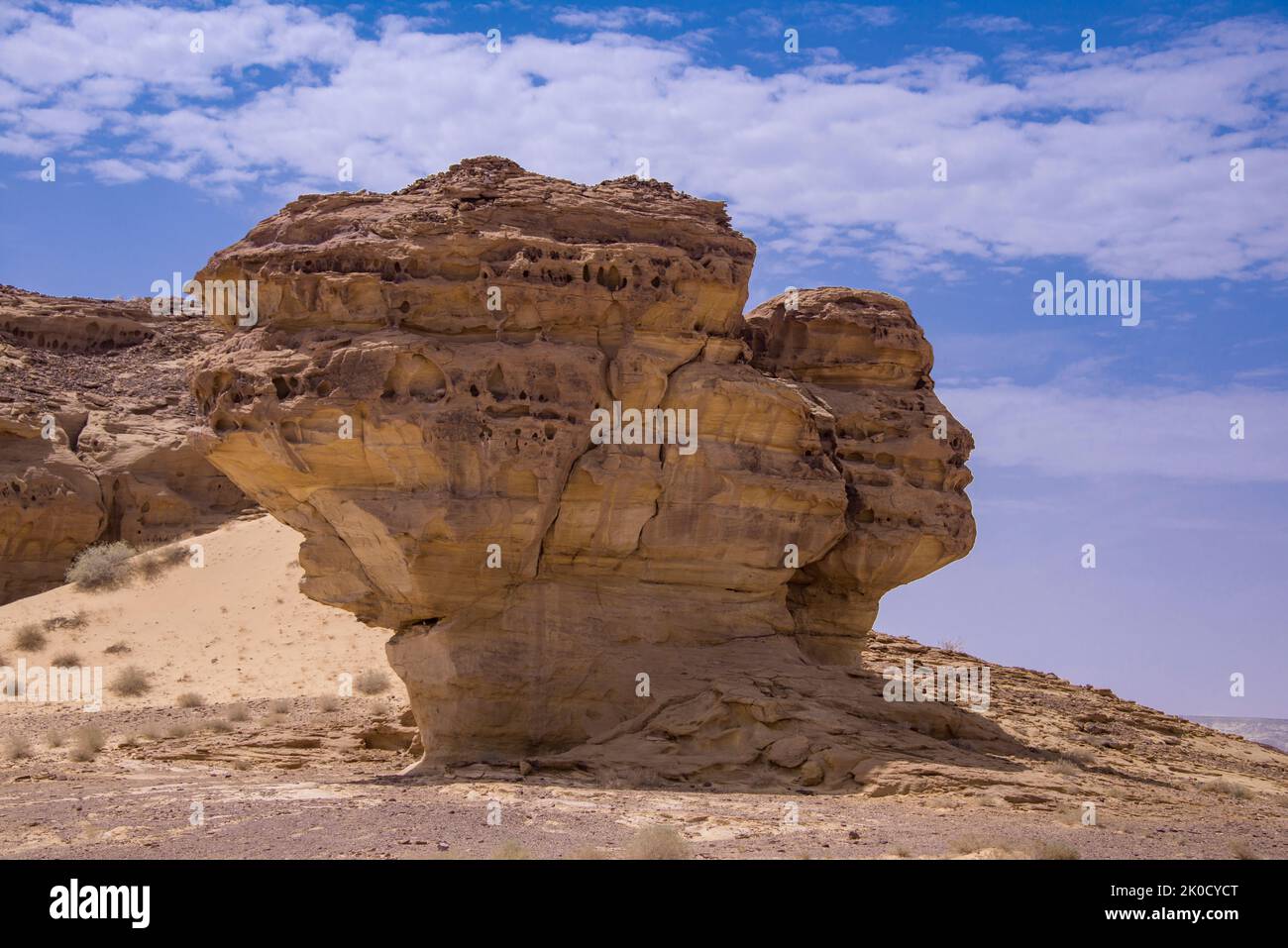 Straordinario affioramento roccioso con profilo del volto umano Hegra Arabia Saudita Foto Stock