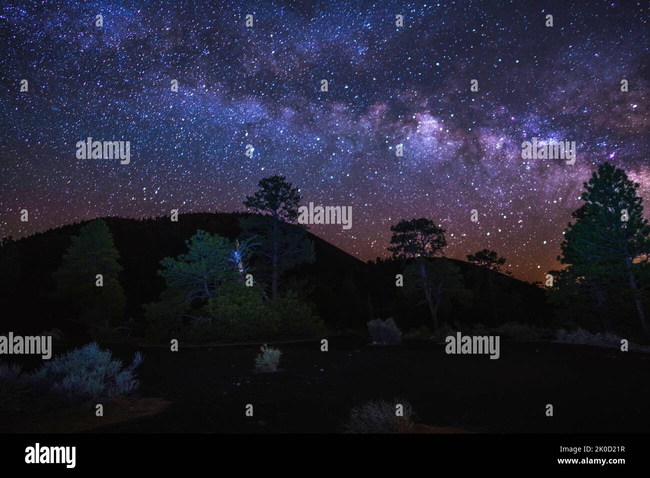 Notte stellata alla Coconino National Forest, Arizona, USA Foto Stock