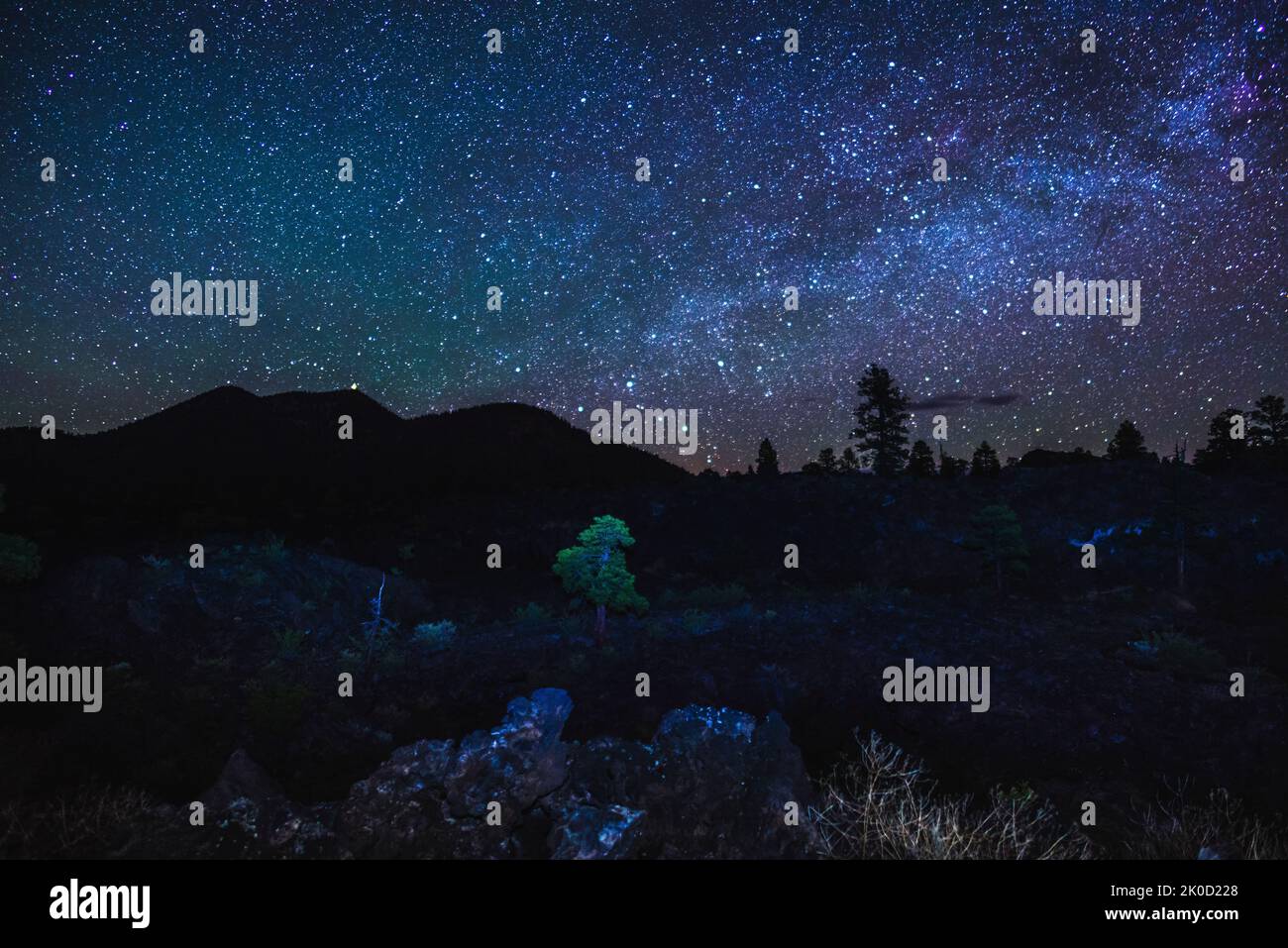 Notte stellata alla Coconino National Forest, Arizona, USA Foto Stock