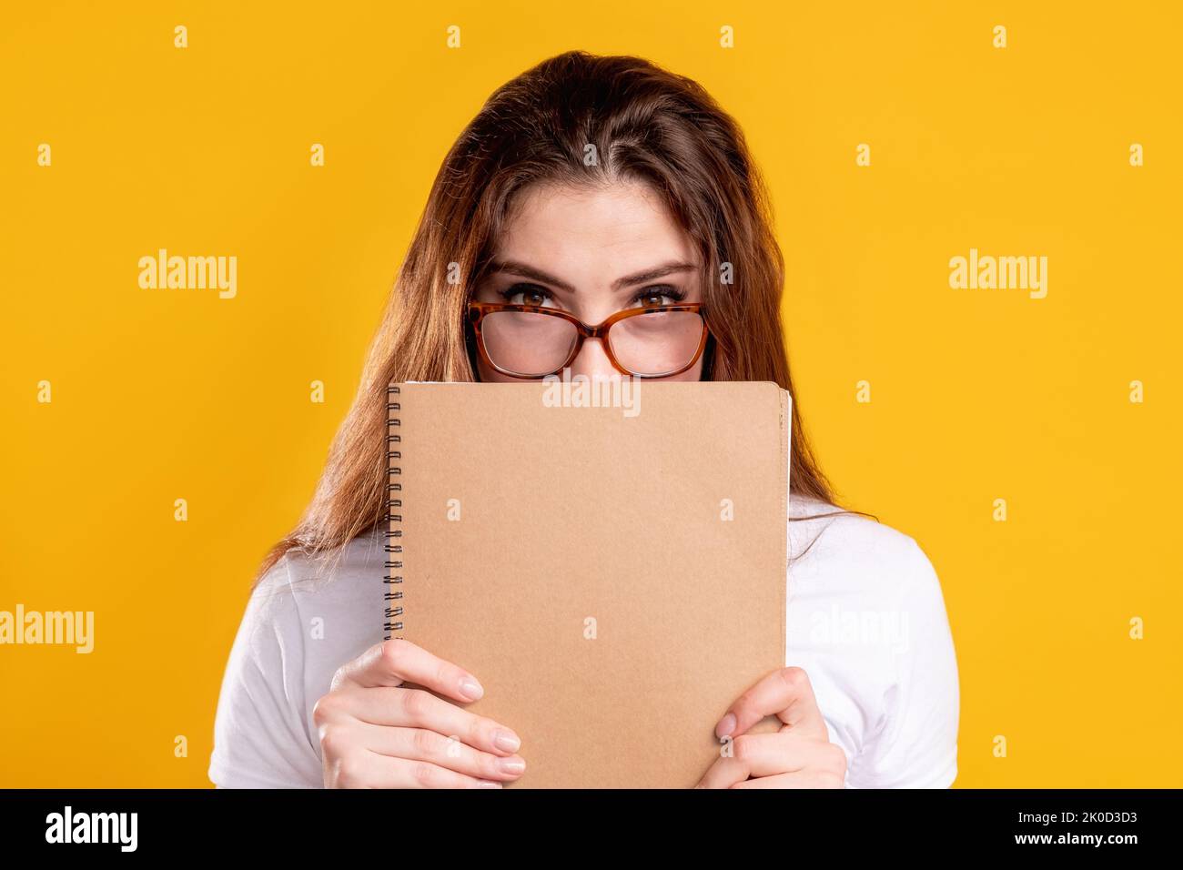 insegnante ritratto business coaching donna intelligente Foto Stock