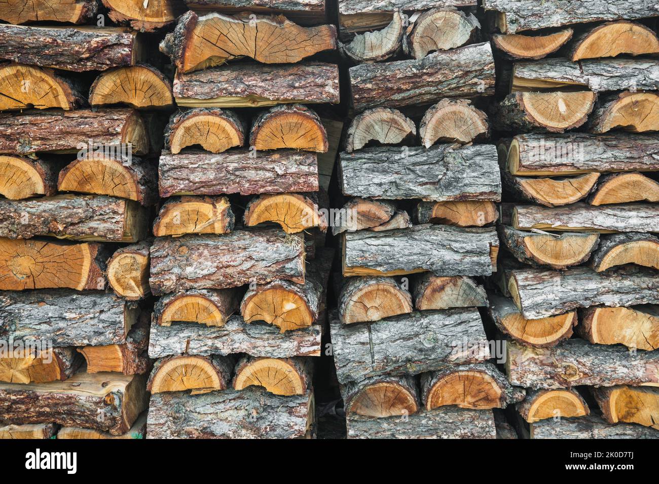 Cumulo di legno. Legna da ardere di fondo testurizzato. Mucchio di vecchio legno asciutto tritato fuoco Foto Stock