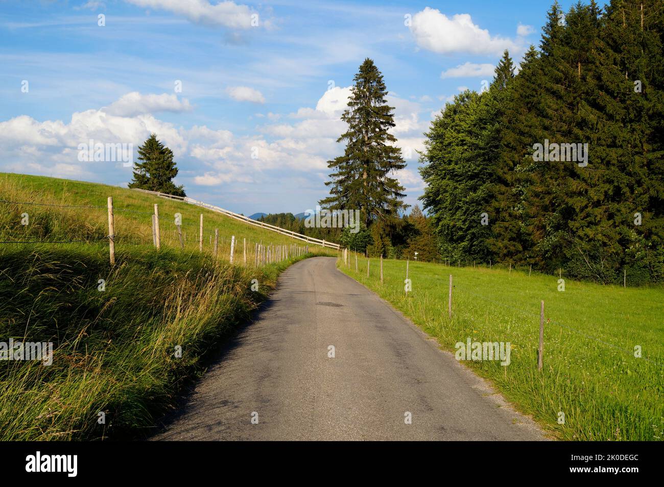 Una strada che attraversa i verdi prati della valle alpina nella regione di Allgau, la Baviera con le Alpi sullo sfondo (Nesselwang, Germania) Foto Stock