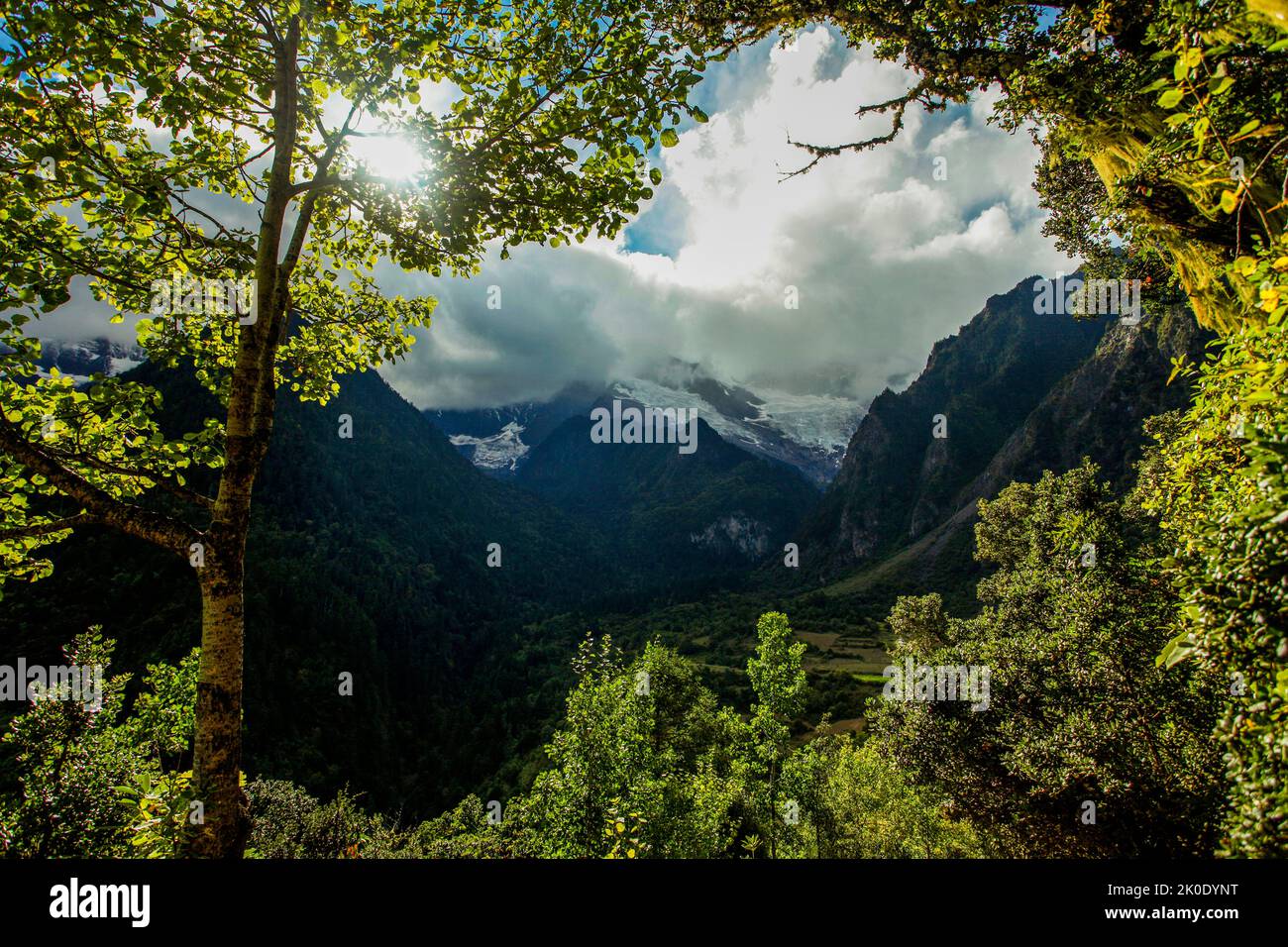 Bellissimo scenario di Meili montagna di neve, Cina Foto Stock