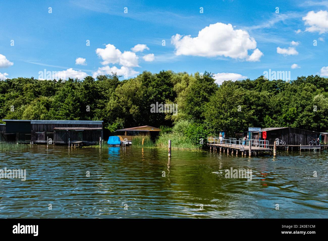 Blau Weisse flotte sbarco per barche, Woblitzsee, Quassow, Userin, Meclemburgo-Vorpommern, Germania Foto Stock