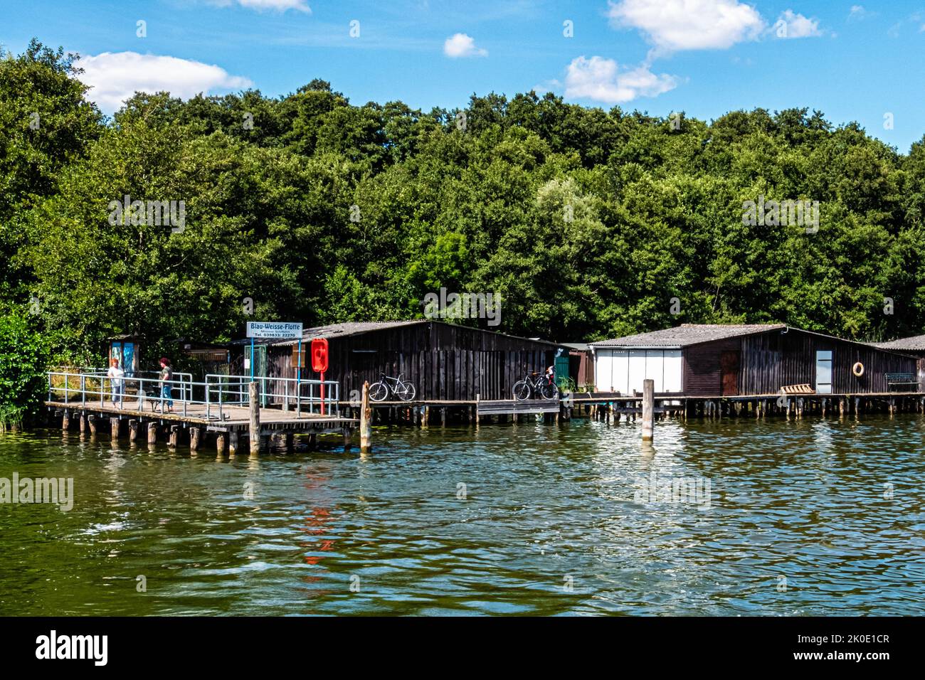 Blau Weisse flotte sbarco per barche, Woblitzsee, Quassow, Userin, Meclemburgo-Vorpommern, Germania Foto Stock