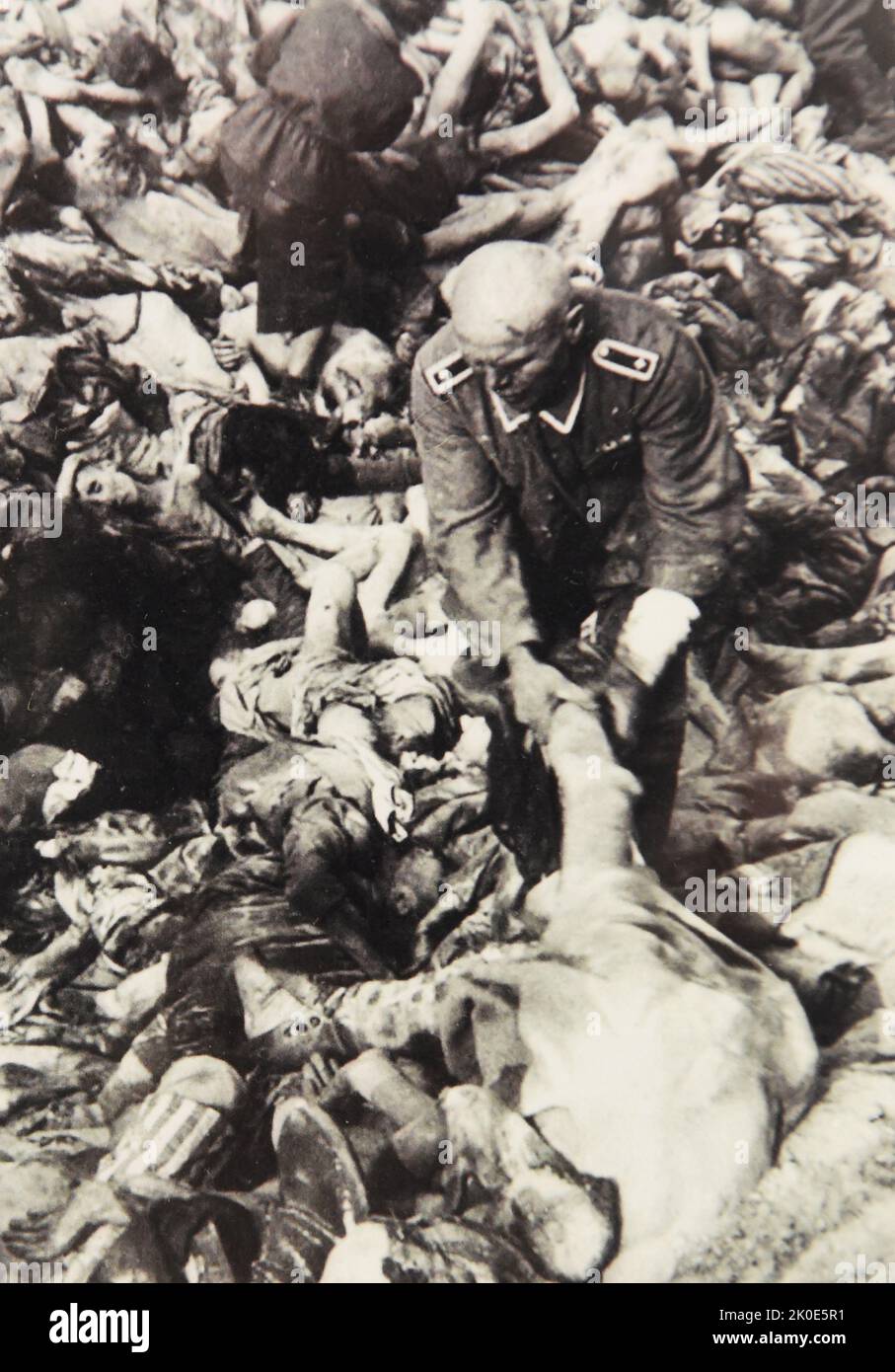 La guardia nazista costretta a seppellire gli ebrei in fosse di massa dopo che il campo di concentramento di Belsen fu liberato nel 1945. Foto Stock