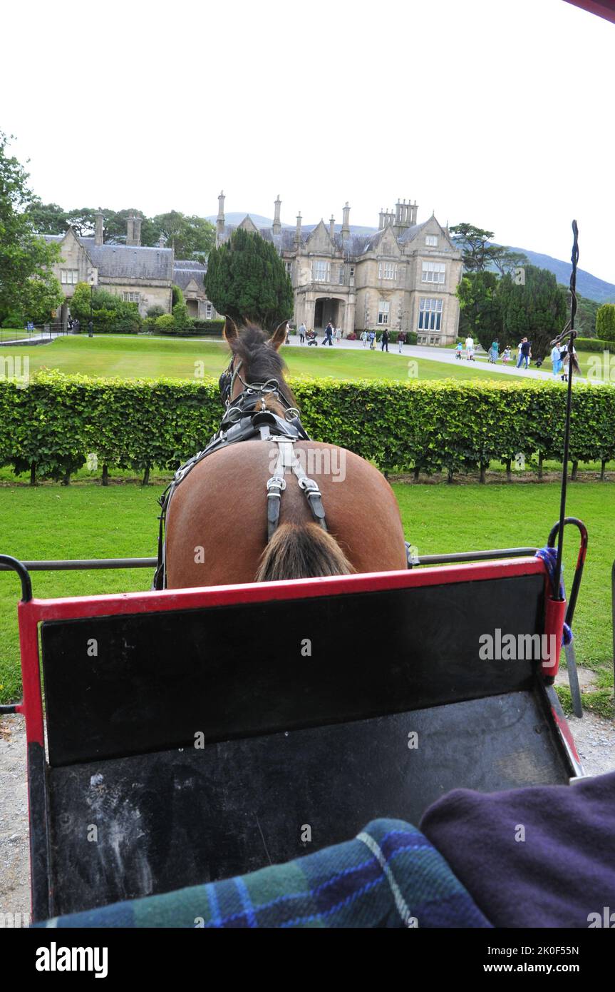 Parco nazionale di Killarney Foto Stock
