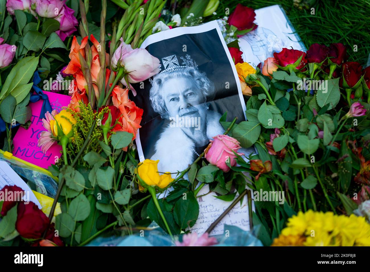 Fine Della Fame Uk Immagini E Fotografie Stock Ad Alta Risoluzione - Foto 9