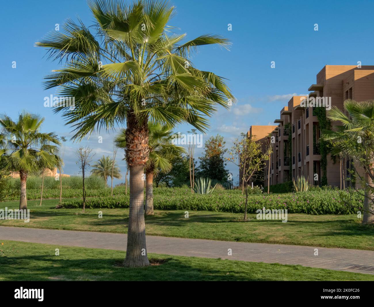 Palme ed edifici in terracotta accanto ad un sentiero e contro un cielo blu Foto Stock