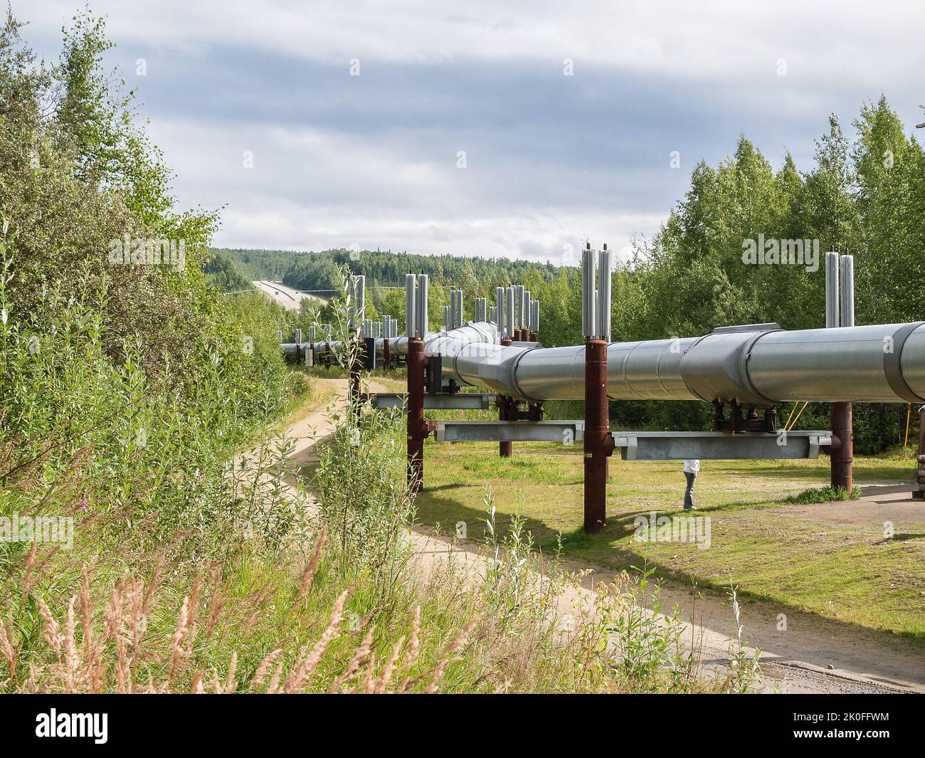 Gasdotto o oleodotto che si snoda attraverso il paesaggio terrestre in Alaska. Foto Stock