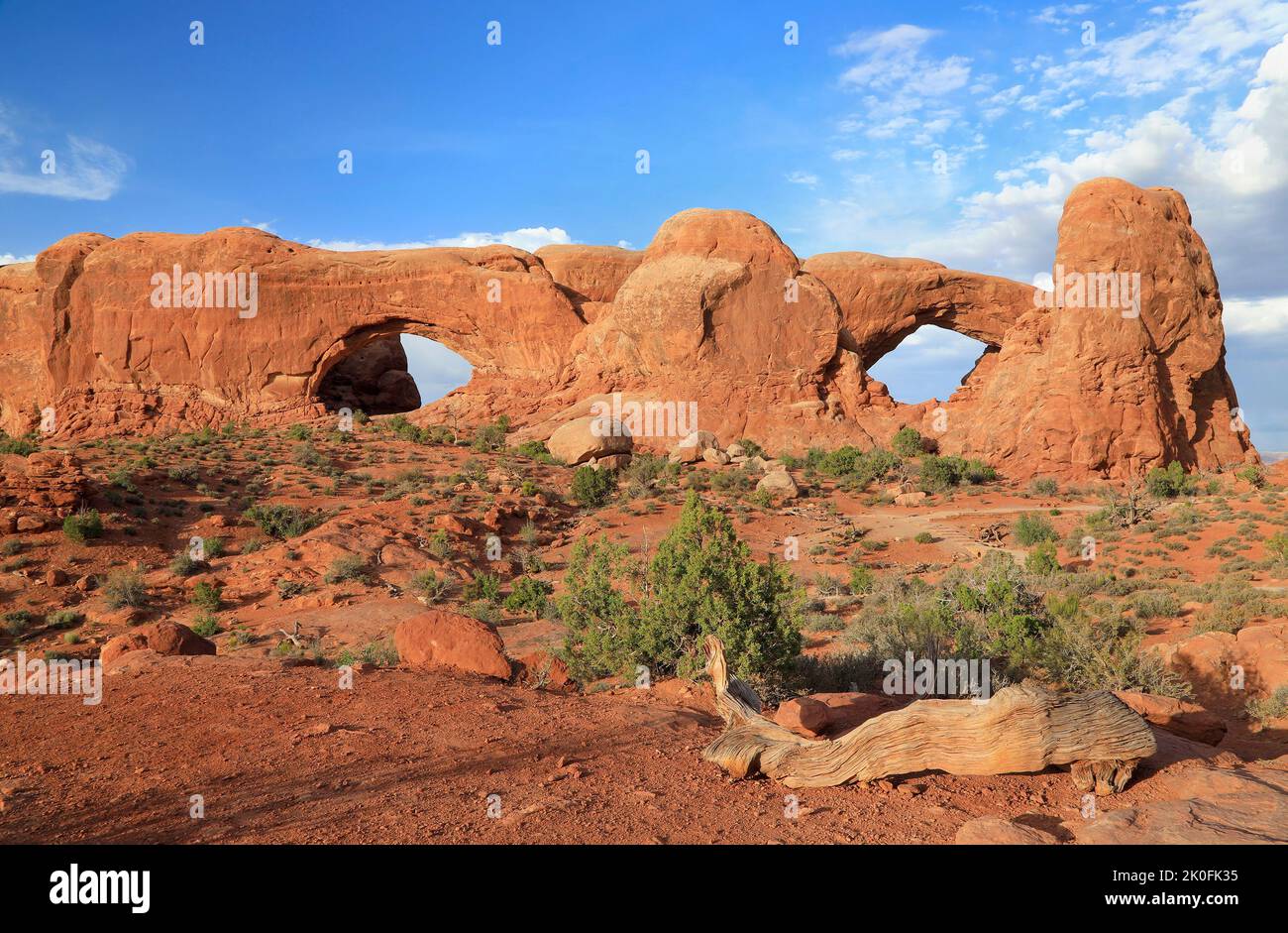 Finestre Sud e Nord nel Parco Nazionale di Arches, Utah, USA Foto Stock