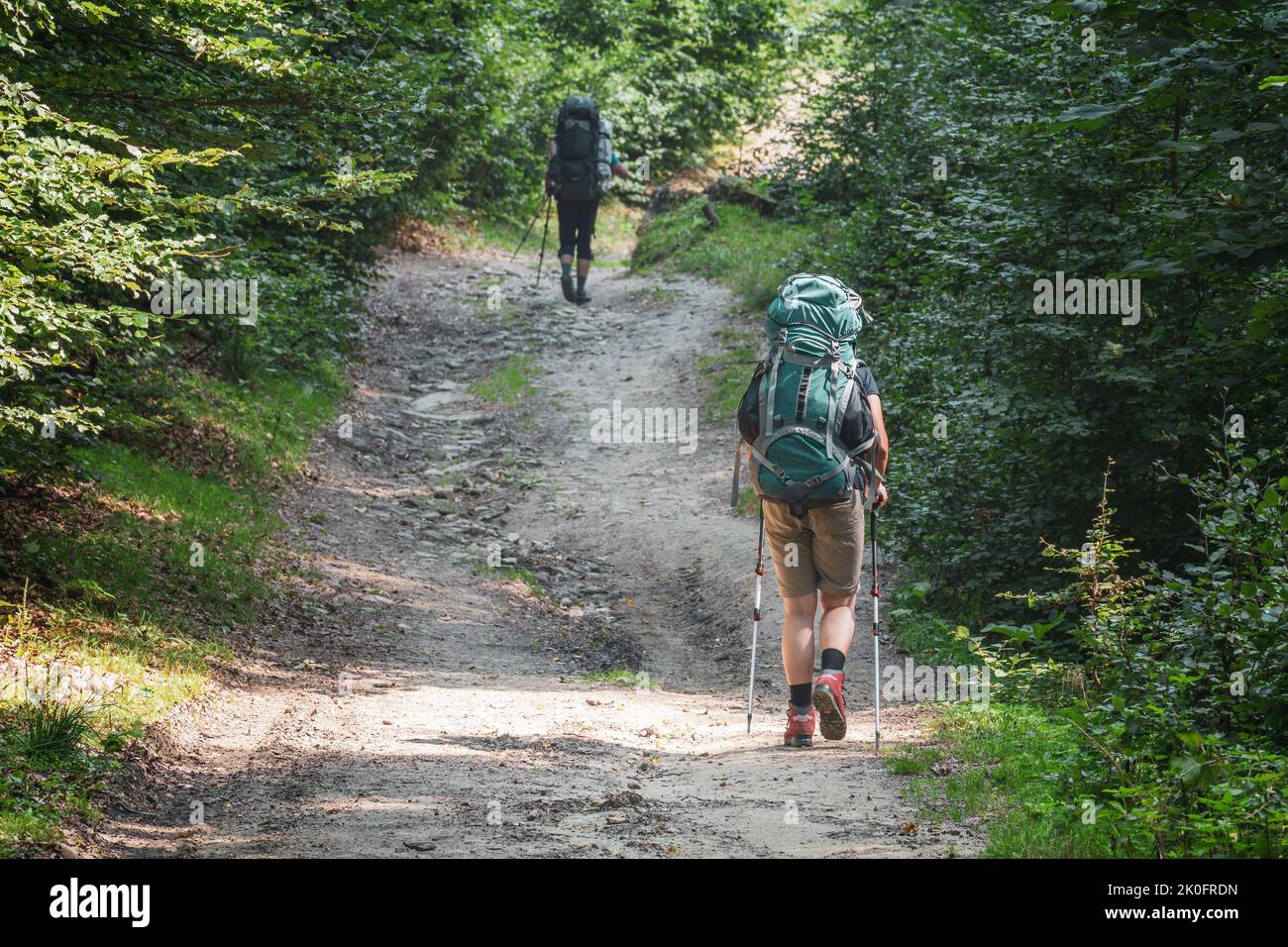 Escursionisti sul sentiero. Due escursionisti con zaini e bastoni vanno in salita sul sentiero roccioso nella foresta. Focalizzazione selettiva sul primo escursionista Foto Stock