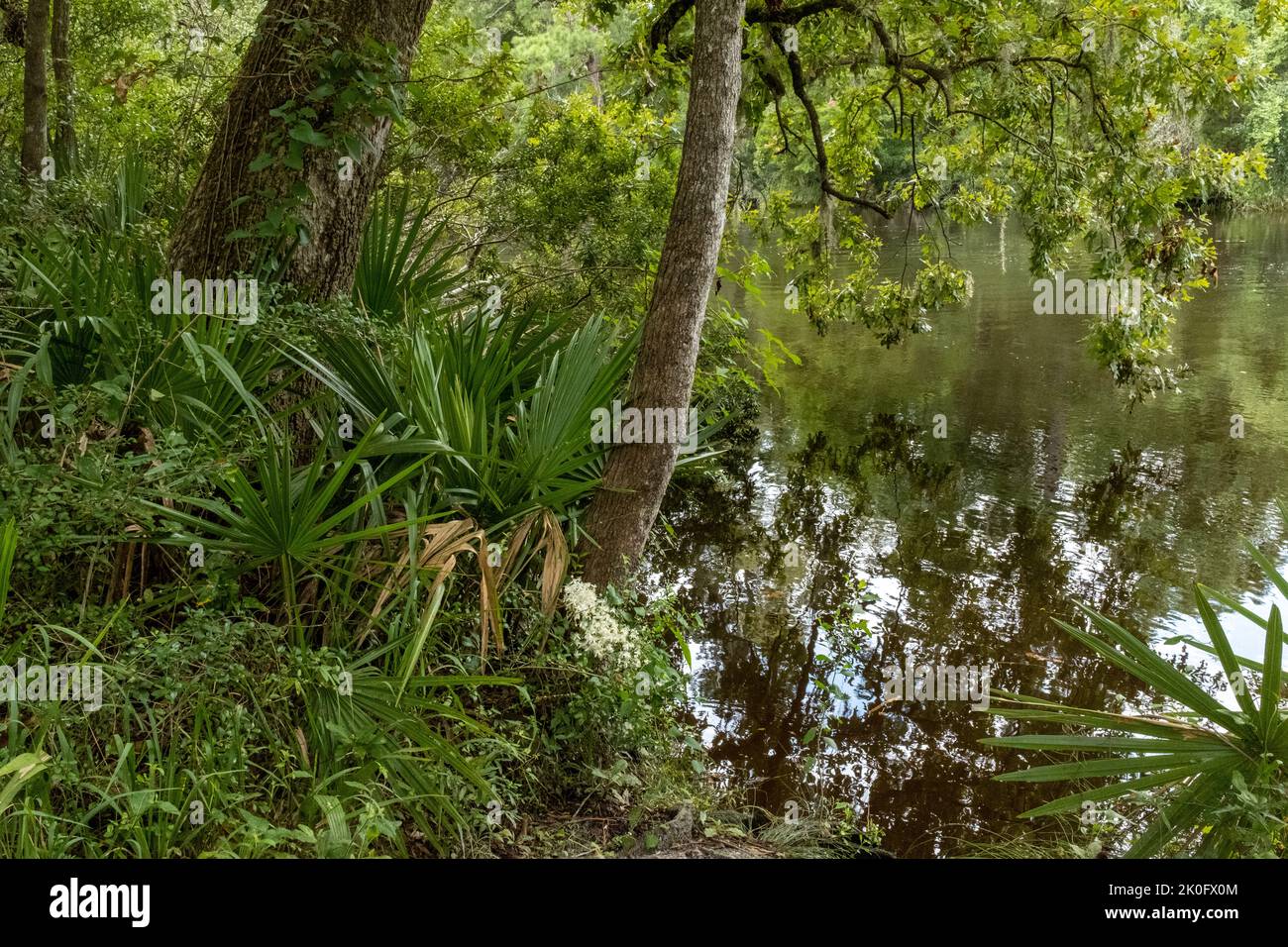 Marshview ad un atterraggio al largo del fiume Ashley vicino a Charleston, Carolina del Sud. Foto Stock