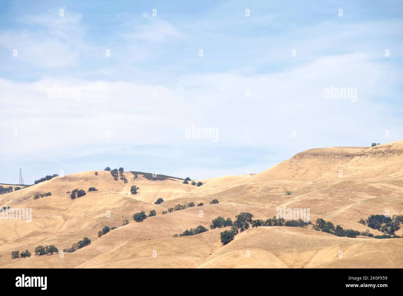 Colline ondulate con pennello deserto in verde, coperto di siccità erba bruna. Cielo blu con nuvole. Foto Stock