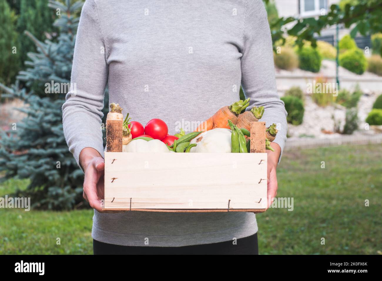 Donna che mostra verdure fresche comprate al mercato locale dal coltivatore. Coltivazione sostenibile di ortaggi. Senza fecondazione. Vegan, cibo crudo. Foto Stock