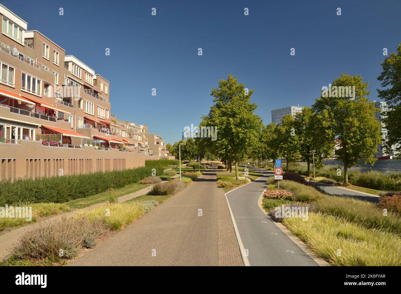 Un corridoio verde con un sentiero separato e piste ciclabili in un sobborgo di Almere, una città pianificata nei Paesi Bassi Foto Stock