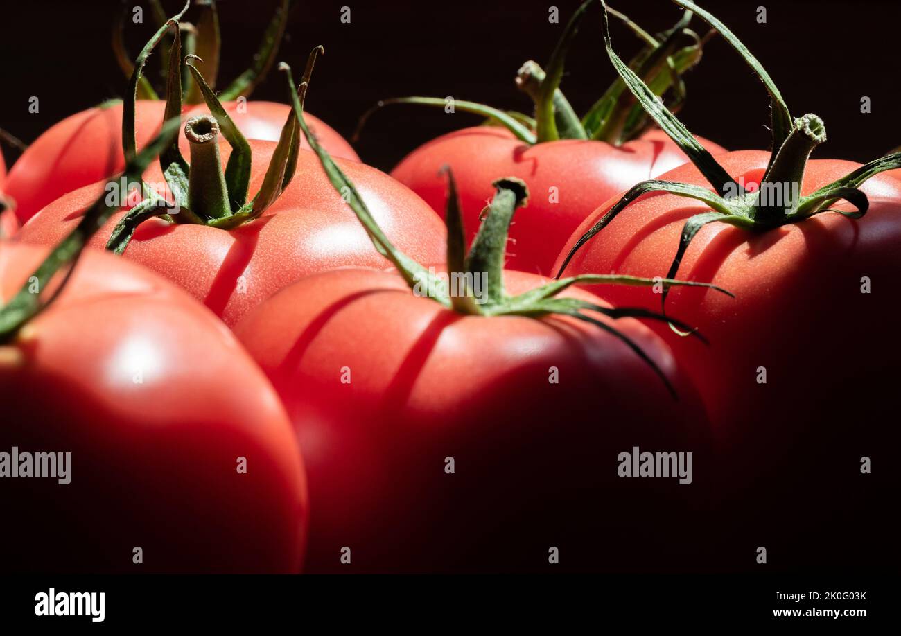 Pomodori maturi isolati. Verdure rosse in primo piano. Pomodori maturi dall'aspetto gustoso con gambi verdi. Foto Stock