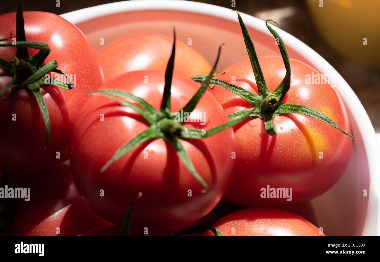 Pomodori maturi isolati. Verdure rosse in primo piano. Pomodori maturi dall'aspetto gustoso con gambi verdi. Foto Stock