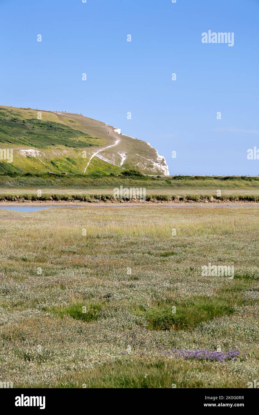 Vista di Cuckmere Haven e dell'inizio delle sette Sorelle in un pomeriggio estivo, Sussex orientale, Inghilterra Foto Stock
