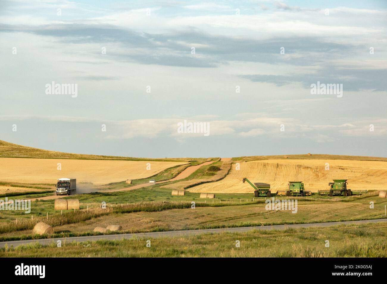 Grande paesaggio pianure con una strada di ghiaia rurale, camion di grano, macchine agricole, e campi di grano raccolto sulle colline ondulate del North Dakota occidentale Foto Stock