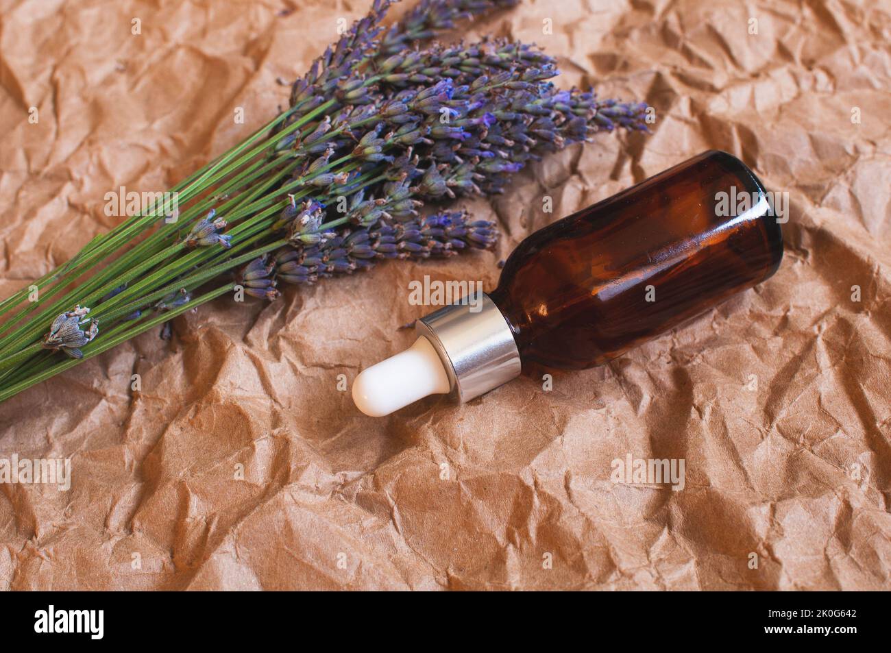 vaso di vetro con olio di lavanda con fiori di lavanda freschi su carta kraft. Foto Stock