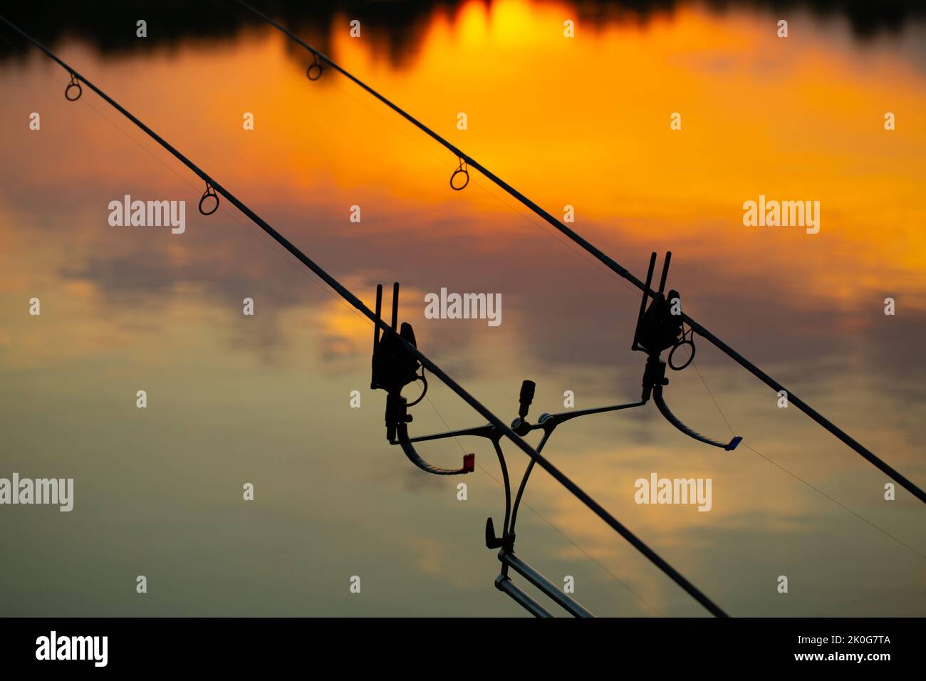 Semafori per la pesca della carpa. Foto Stock