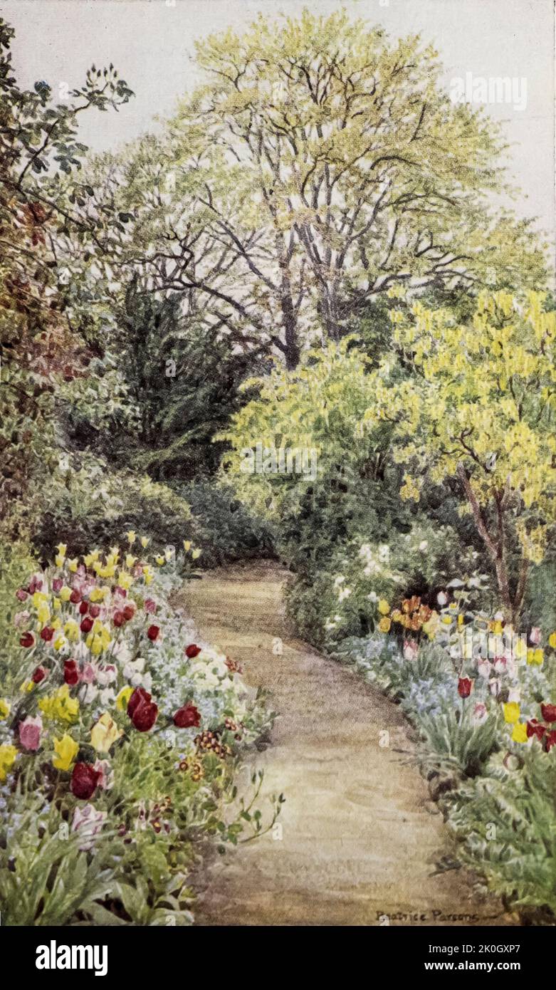 Tulipani nel 'Giardino della Pace' dall'incantevole Giardino di Dion Clayton Caltrop (1878–1937) autore inglese, illustratore pubblicato nel 1910 Foto Stock