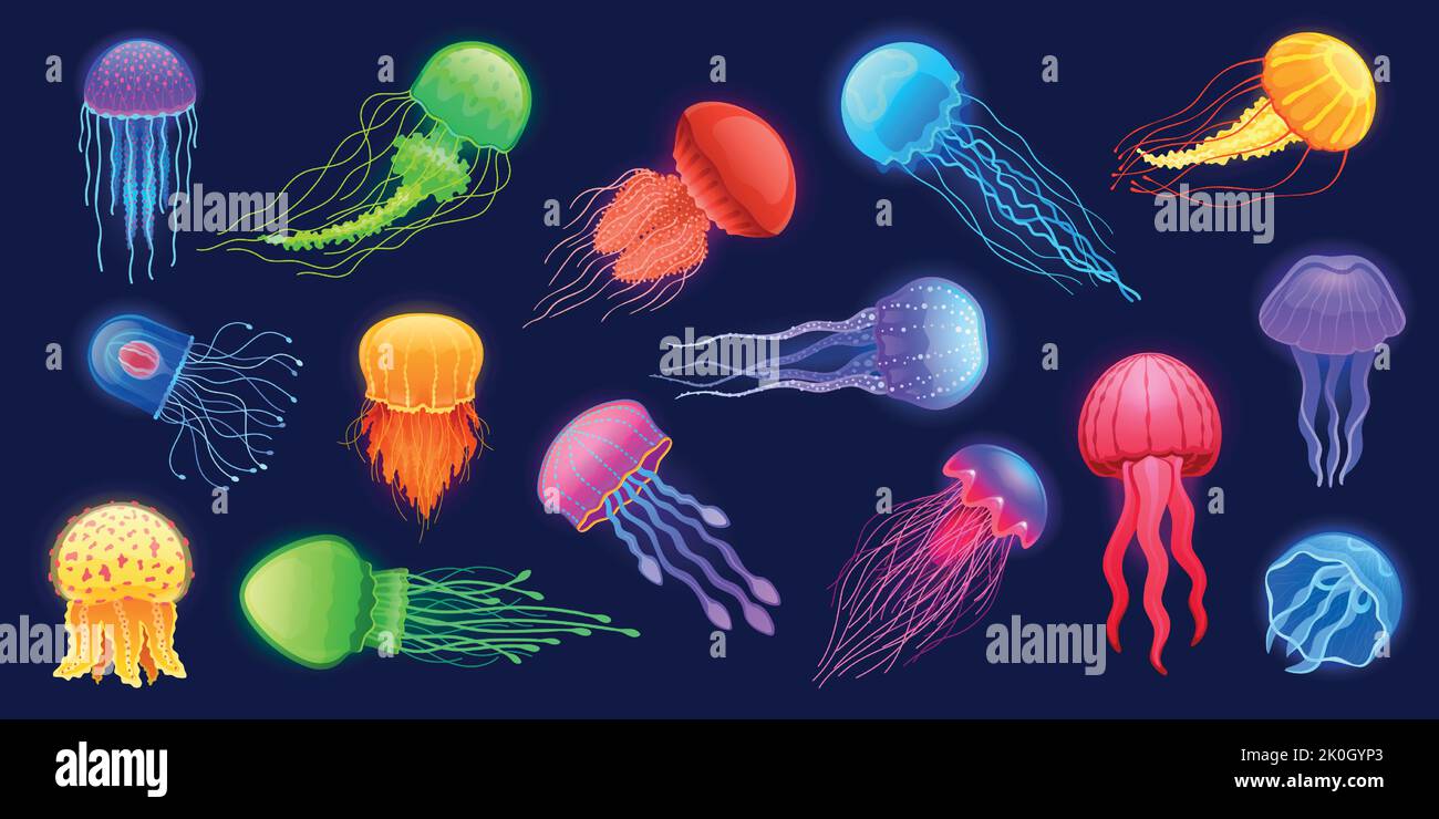 Cartoni animati meduse. Esotico animale subacqueo incandescente, profondo marino incandescente creatura con tentacoli diversi colori e forme. Set con isolamento vettoriale Illustrazione Vettoriale