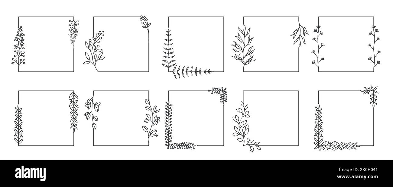 Cornici botaniche quadrate. Linea doodle bordi a base di erbe e cornici floreali elementi decorativi per l'invito e biglietto di auguri. Fiori selvatici vettoriali Illustrazione Vettoriale