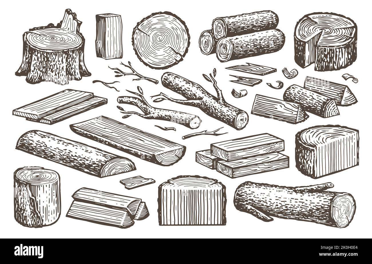 Legname naturale, legname, set per la lavorazione del legno. Materiali di Falegnameria, legno. Ceppo di albero, tronchi, asse, schizzo vettoriale di billetta Illustrazione Vettoriale
