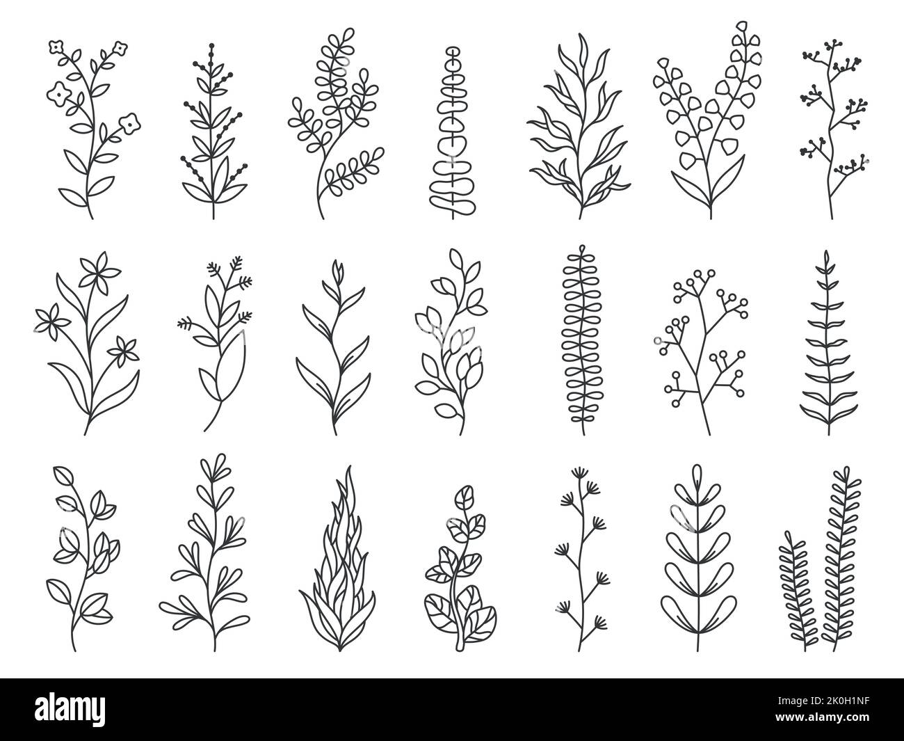 Piante di Doodle. Rami forestali decorativi lineari con foglie e fiori, bozzetti floreali per biglietti d'auguri e inviti. Vettore isolato Illustrazione Vettoriale