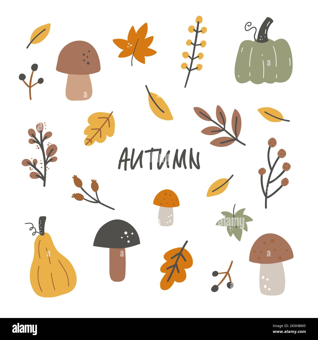 Foglie autunnali vettoriali disegnate a mano, funghi, bacche e molto altro. Raccolto stagionale autunnale. Illustrazione vettoriale piatta colorata isolata su sfondo bianco Illustrazione Vettoriale