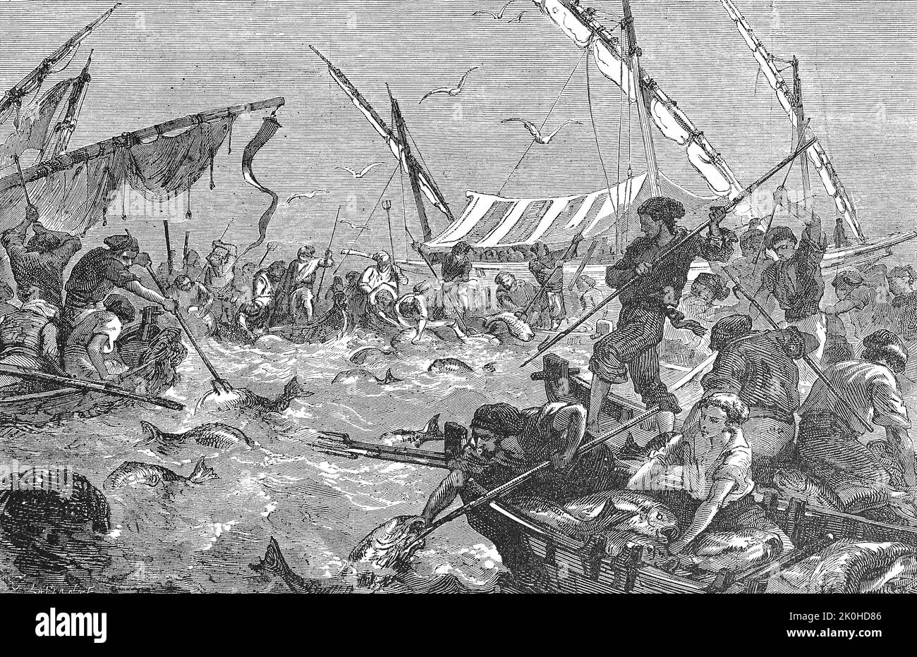 Thunfischjagd mit Harpunen, Tunfisch, Fischerei in la Madrague an der Küste der Provence, im Jahre 1869, Frankreich / Tuna caccia con arpioni, tonno, pesca a la Madrague sulla costa della Provenza, nel 1869, Francia, Historisch, restaurierte digitale Reproduktion einer Originalvordem aus 19. Jahrhundert, genaues Originalatum nicht bekannt / riproduzione storica, digitale migliorata di un originale del 19th ° secolo Foto Stock