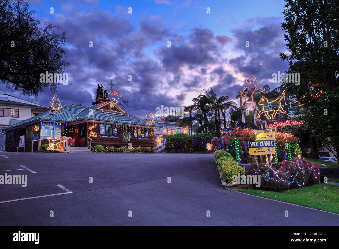 Una clinica di veterinario illuminata con colorate luci di Natale a tema animale. Tauranga, Nuova Zelanda Foto Stock