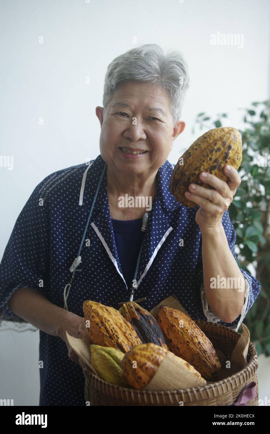 coltivatore che mostra cacao baccello di frutta di fagiolo di cacao raccolta dalla fattoria Foto Stock