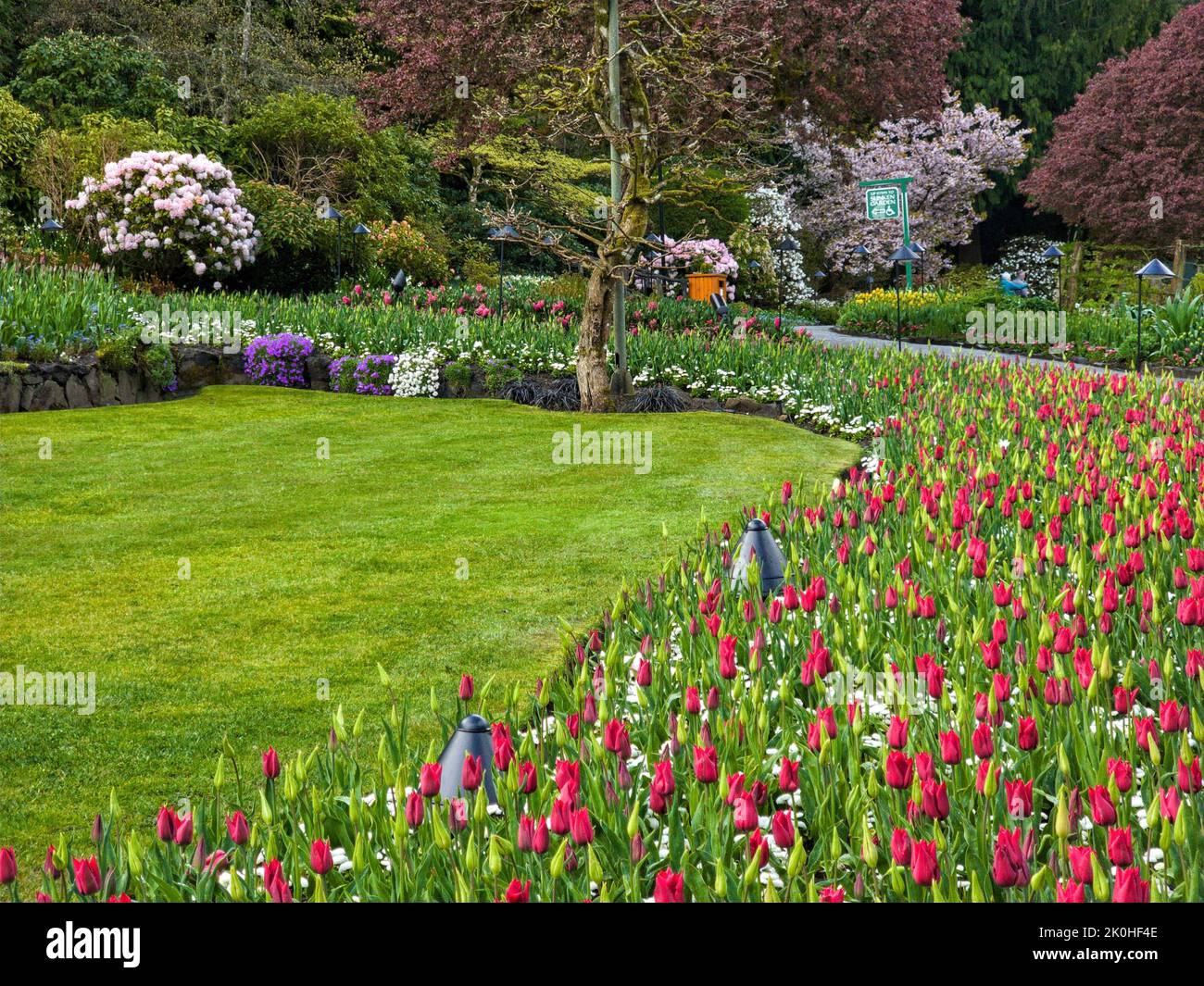 La vista ad angolo alto dei tulipani del giardino rosso nel bellissimo giardino botanico Foto Stock