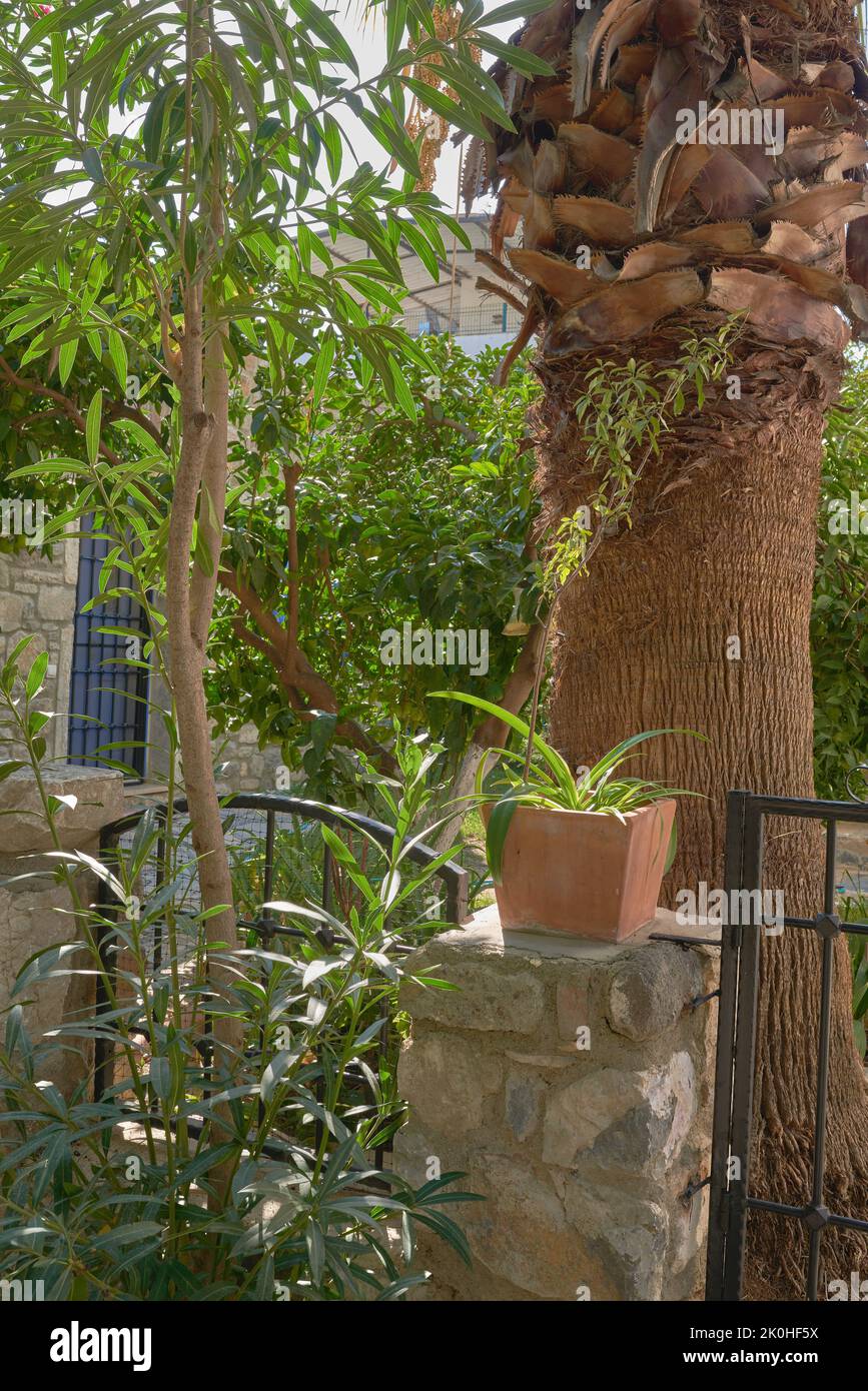 Antiche rovine in epoca moderna. Antiche rovine romane in Turchia. Foto Stock