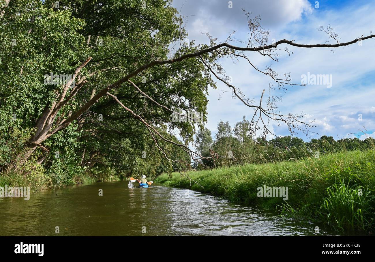 Reitwein, Germania. 10th Set, 2022. Due escursionisti d'acqua sono sulla loro strada con il loro kayak sul Vecchio Oder, più precisamente il Bullergraben vicino a Reitwein. L'Alte Oder è un nome dato a numerose vecchie armi dell'Oder nell'Oderbruch nel Brandeburgo orientale, che sono state create per l'irrigazione e il drenaggio della regione. Alcuni di questi fossi sono larghi solo pochi metri e le rive sono caratterizzate da una fitta vegetazione. Con un po' di fortuna, qui potrai osservare castori, cicogne nere o Martin pescatore. Credit: Patrick Pleul/dpa/Alamy Live News Foto Stock