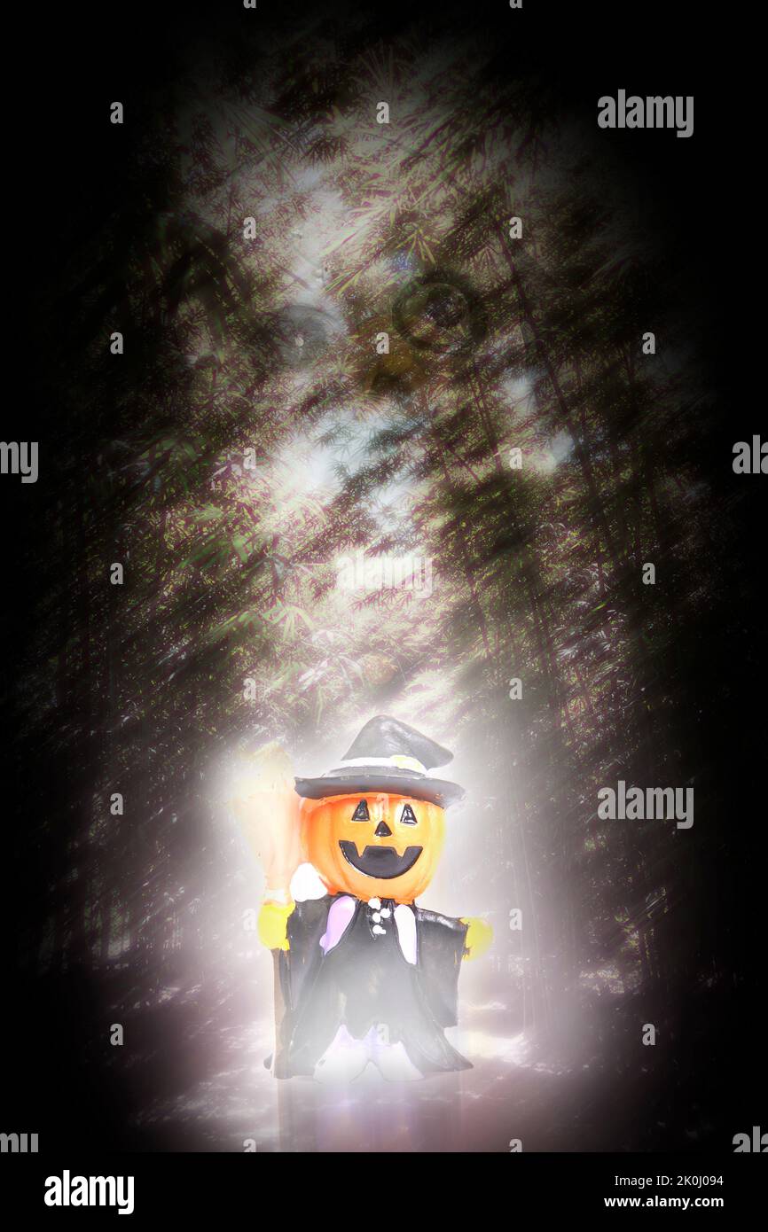 La bambola di strega con la testa di zucca appare in una foresta scura e terrificante nella notte di Halloween. Foto Stock